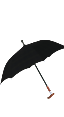Stock-Schirmkombination (81-84cm)