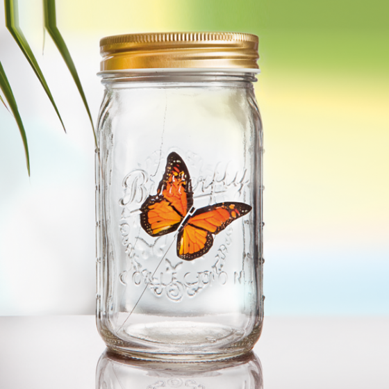 Fliegender Schmetterling im Glas 