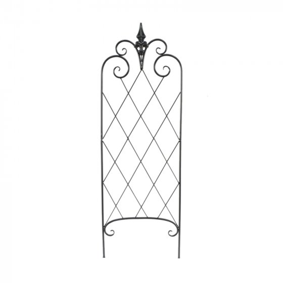 Rankhilfe Raute Verena 