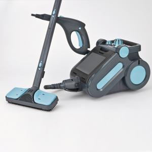 Dampfreiniger 2in1