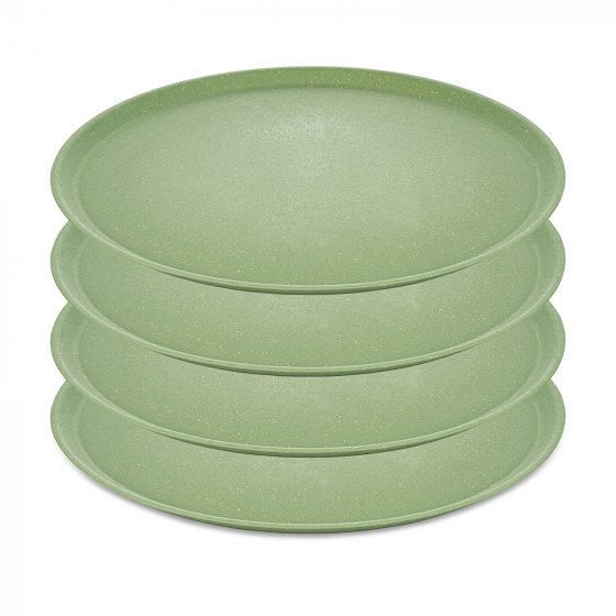 Großer Teller 25,5 cm 4er-Set CONNECT PLATE 