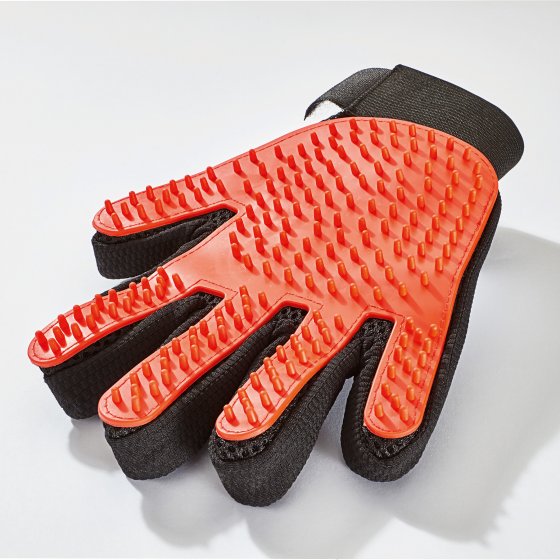Bürstenhandschuh