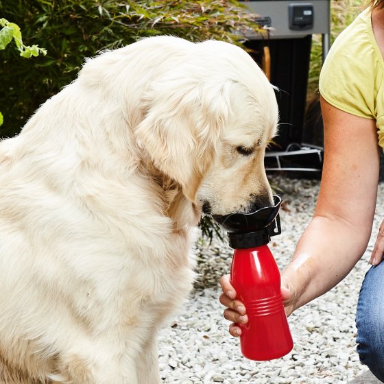 Hunde-Reisetrinkflasche 