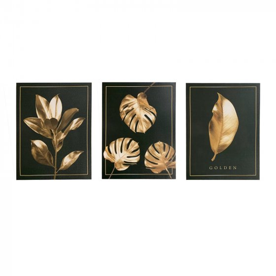 Bilder 3er Set Canvas 