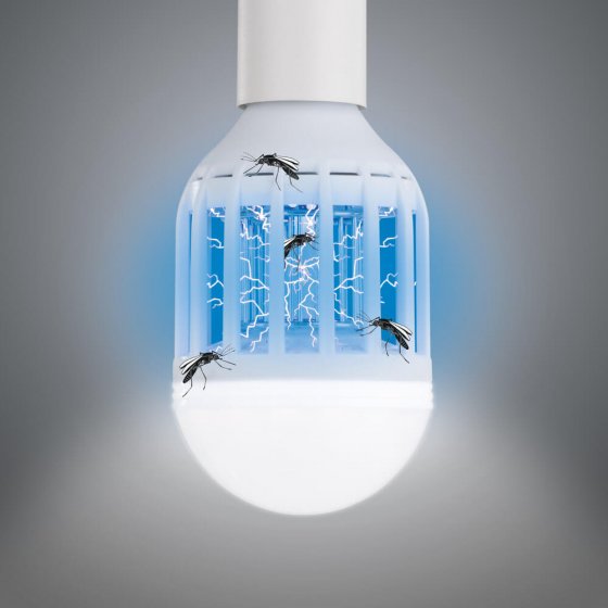 LED-Mückenlampe „2 in 1“
