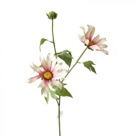 Chrysantheme 74 cm Hellrosa