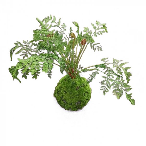 Kunstpflanze Farn-Busch Flora