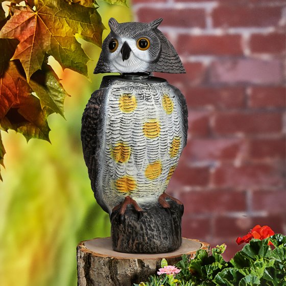 Garteneule „Vogelschreck” 
