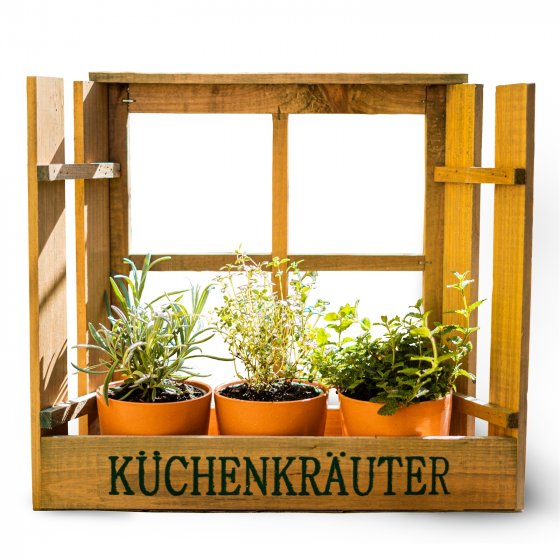 Kräuterfenster Mina 