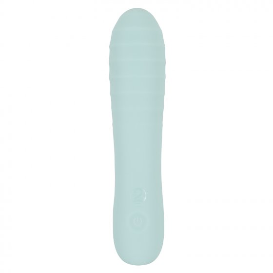 Vibrator Straight Vibrator 