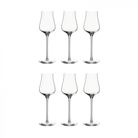 Grappaglas 6er Set 210 ml BRUNELLI 