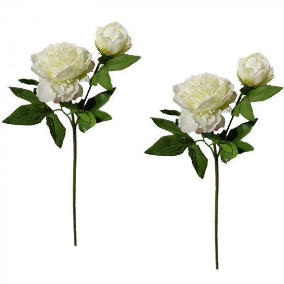 Pfingstrose 2er Set Weiß Flora
