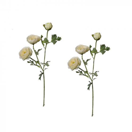 Ranunkel 2er Set Weiß Flora