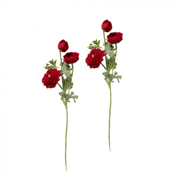 Ranunkel 2er Set Rot Flora
