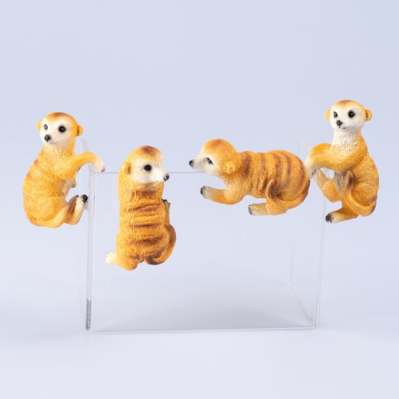 Erdmännchen-Pflanzentopfhänger
