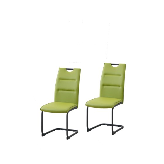 Schwingstuhl 2er Set PU grün DannyP 