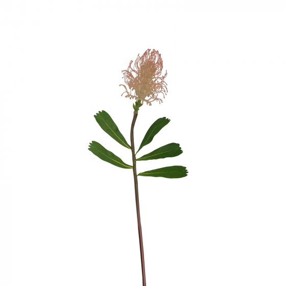 Frühlingsblume weiße Blüte Kunstpflanze Flora