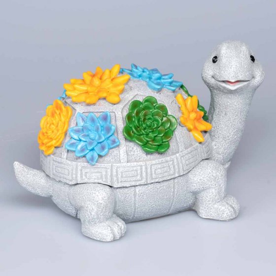 Schlüsselvers. Schildkröte