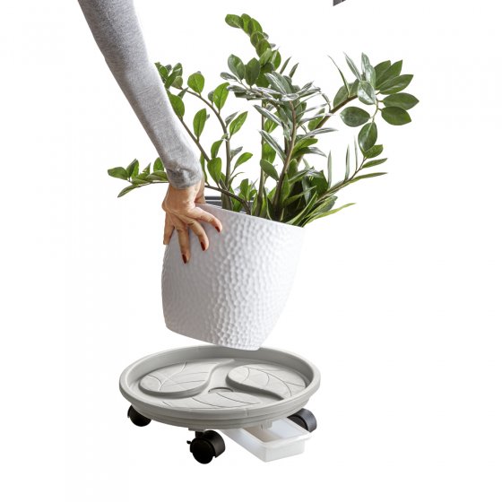 Pflanzenroller mit Auffangfach