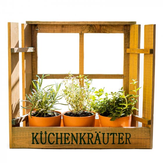 Kräuterfenster Mina 