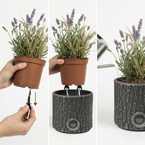 Selbstbewässernde Pflanztöpfe 