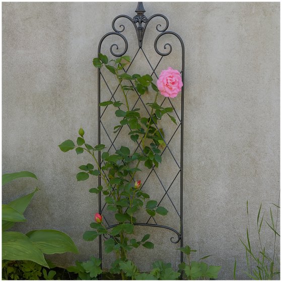 Dekorative Rankhilfe aus Metall 