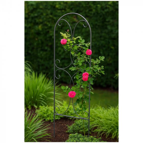 Dekorative Rankhilfe Metall für Kletterpflanzen Rosen und Clematis 
