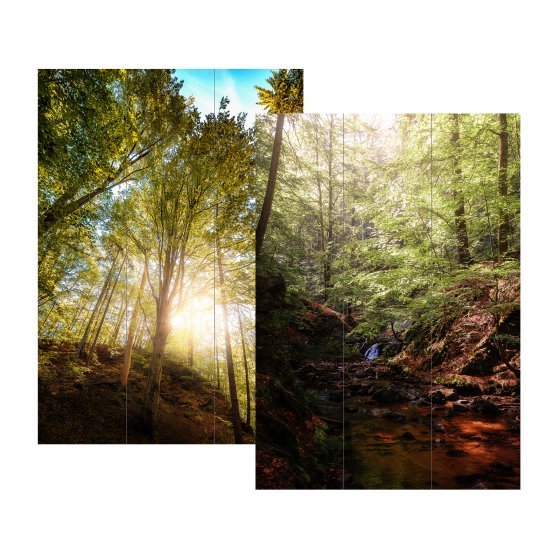 Paravent Wald