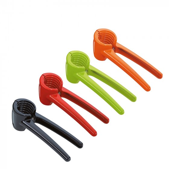 Nussknacker KNACKI COLORE 