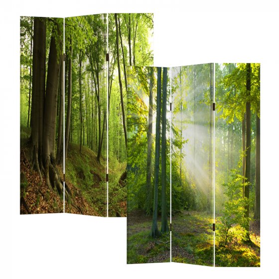 Paravent Waldweg