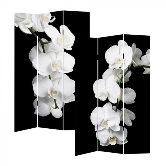 Paravent Orchidee