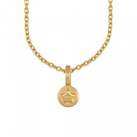 Anhänger mit Kette 925/- Sterling Silber vergoldet Stern 