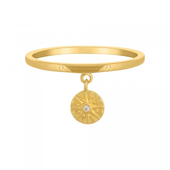 Ring 925 Silber Anhänger Münze vergoldet Sonne Zirkonia 