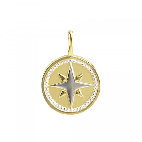 Anhänger 375 Gold zweifarbig mit Windrosen-Motiv 