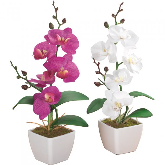 Kunstblumen Orchideen - 2er Set 