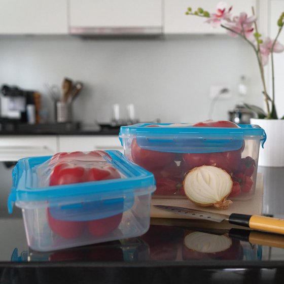 Frischhaltedosen mit Flexideckeln 2er-Set