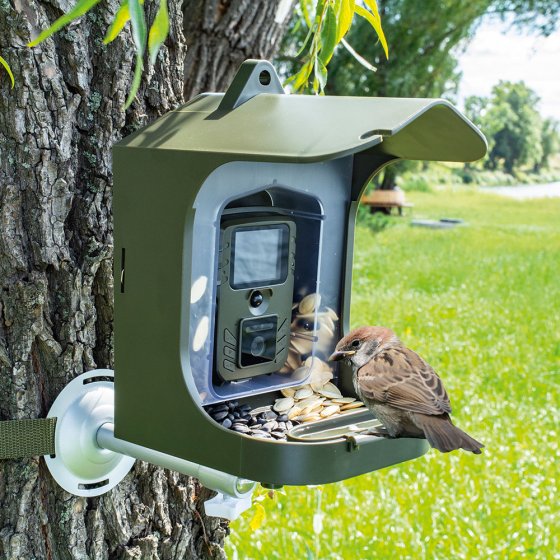 Vogelbeobachtungskamera mit Futterstelle 