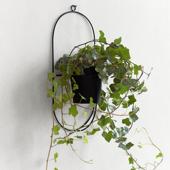 Wandhalter Blumentopf 