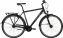 Citybike Caraz 3.0  Diamant 28 Zoll - 1