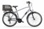 Elektro-Citybike RHEA  MAN 28 Zoll, grey - 1