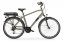 Elektro-Citybike RHEA  MAN 28 Zoll, oliv - 1