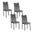 Esszimmerstuhl Denton Samt Grau 4er-Set - 1