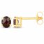 Ohrstecker 925-Sterling Silber vergoldet Glänzend Granat oval rot - 1