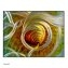 Wandbild Wanddeko Spirale - 1