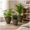Blumentopf Nessa Sonne 3er-Set - 1