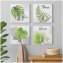 Wandhaken 4er-Set Leaf - 1