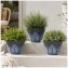 Blumentopf Nessa Feder Blau 3er-Set - 1