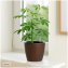Blumentopf Nessa Hydro 21,5 cm Braun - 1