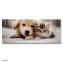 Gartenbank mit Hund und Katze Motiv in Weiß - 1