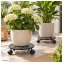 Pflanzenroller Petunia Metall 2er-Set Schwarz - 1